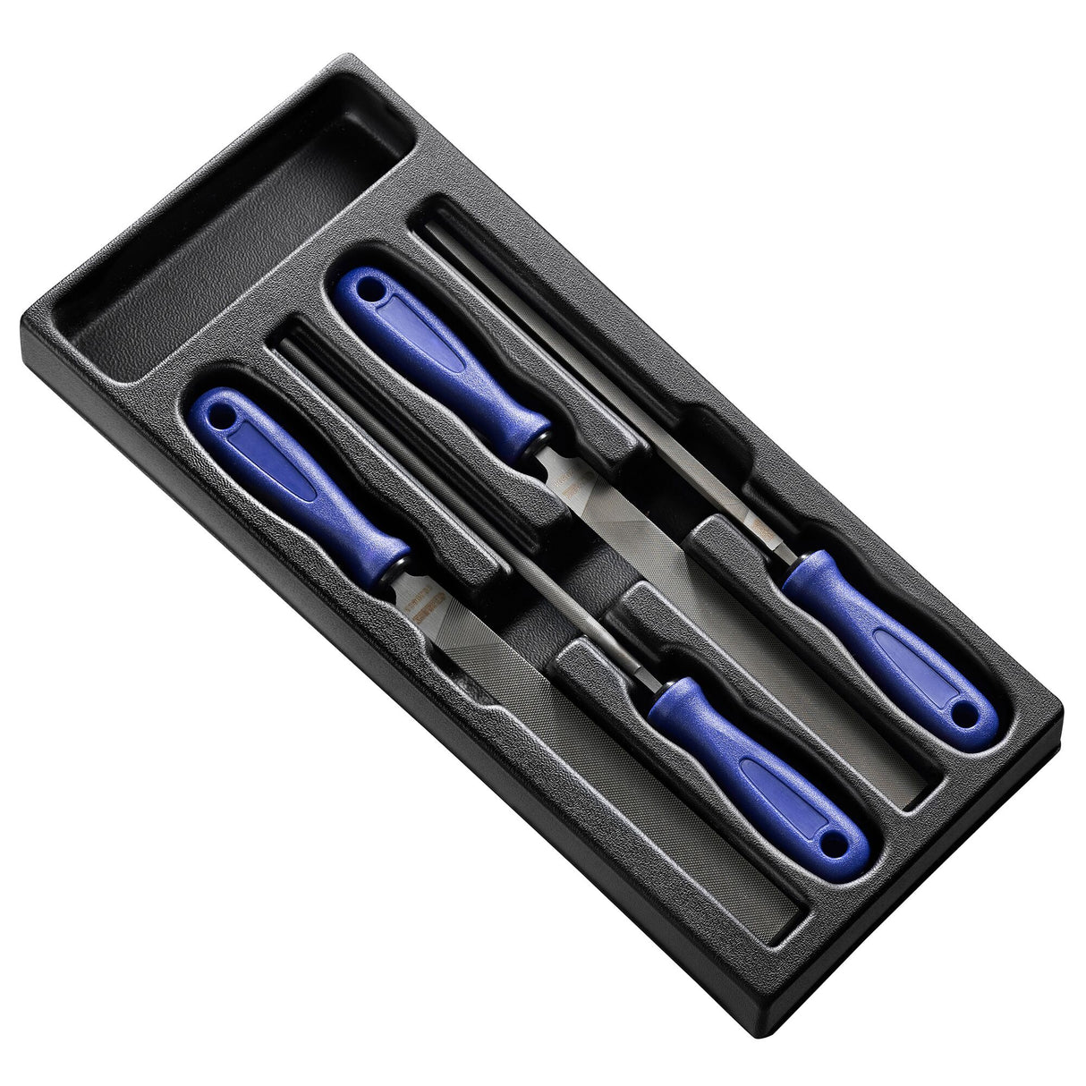 File Module Tray