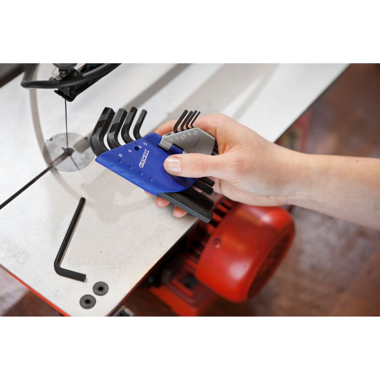 EXPERT by FACOM® Short Hex Keys 9 pieces sleeve set