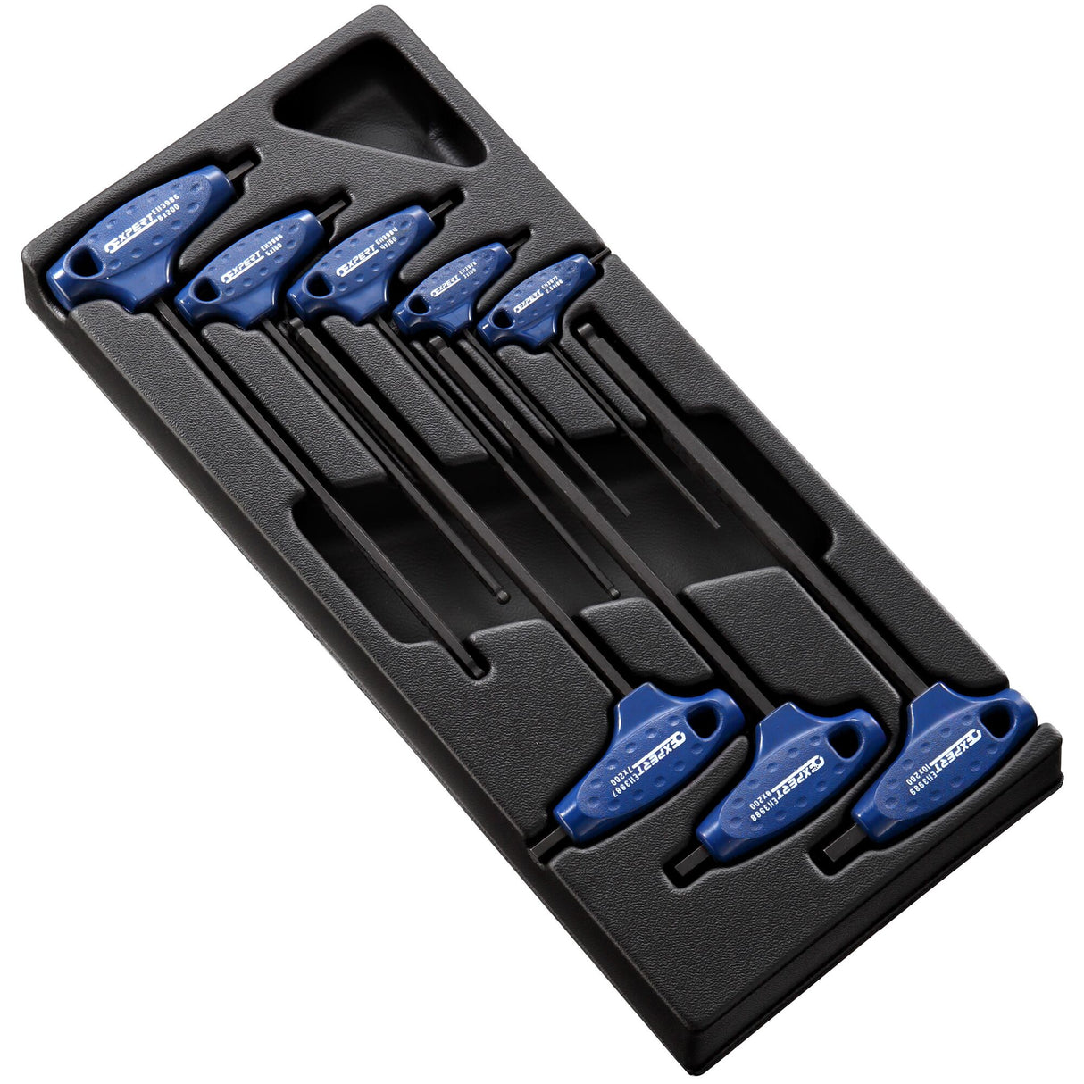 Plastic Tray for E121205 Module