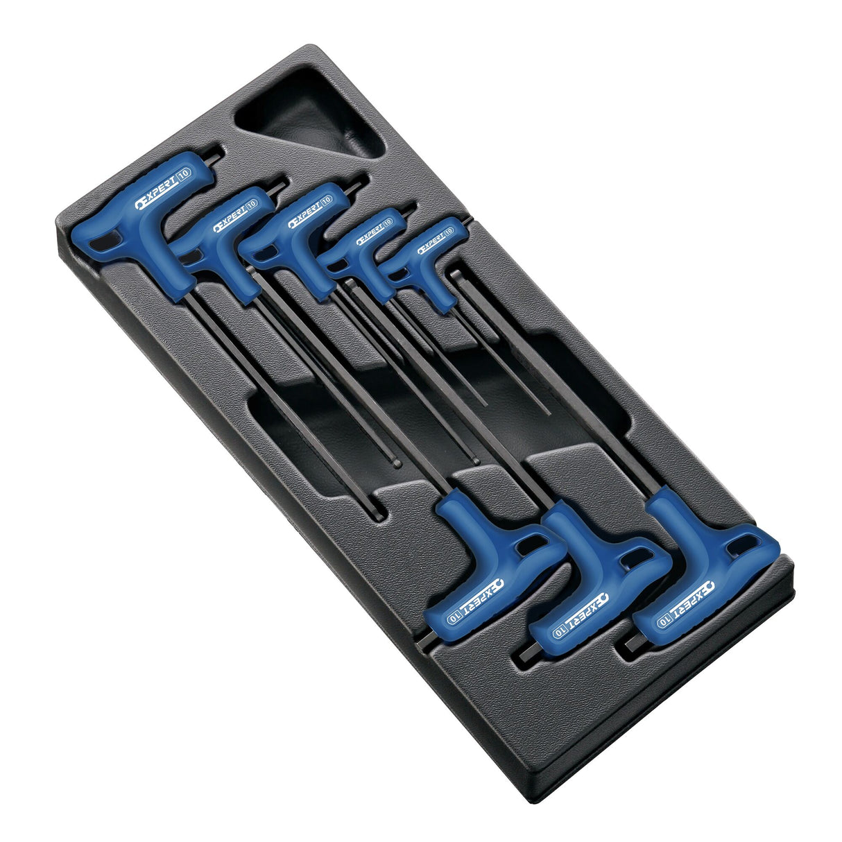 EXPERT by FACOM® 2.5mm - 10 mm P-Hex Key Set (8 pc.)