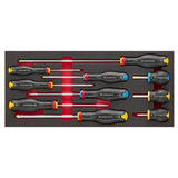 PROTWIST® 1/3 in. Screwdriver Set in Foam Module (10 pc.)