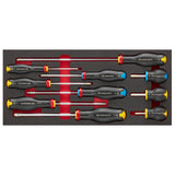 PROTWIST® 1/3 in. Screwdriver in Foam Module (10 pc.)